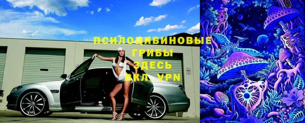 прущая мука Переславль-Залесский
