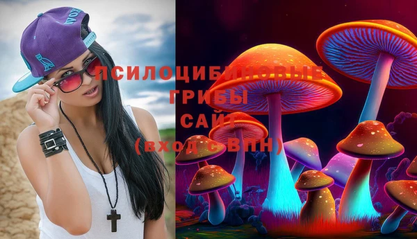 прущая мука Переславль-Залесский