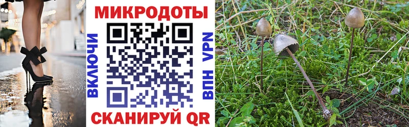 Псилоцибиновые грибы мицелий Починок